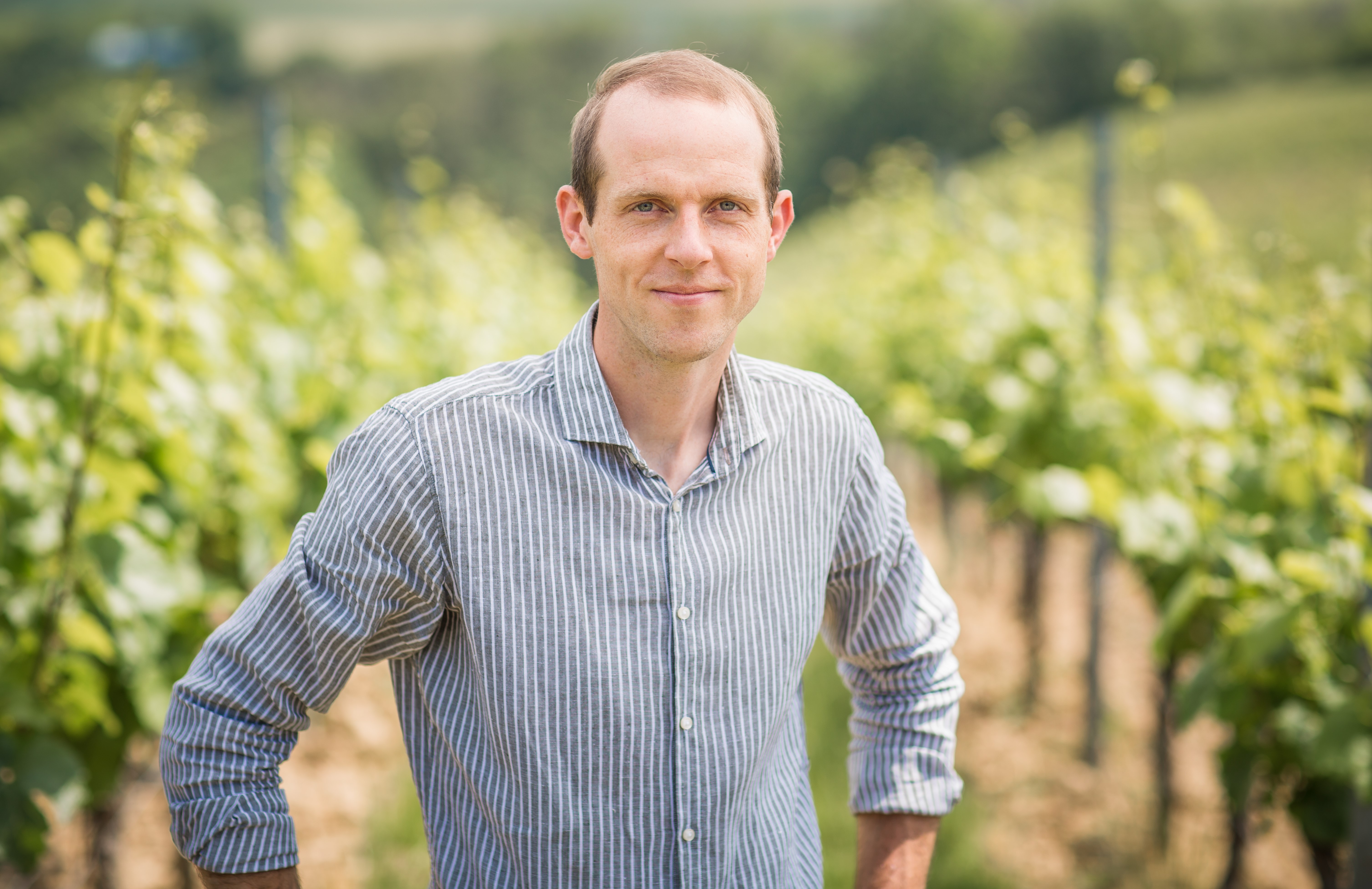 Weingut Abel Bauer Weinfässer